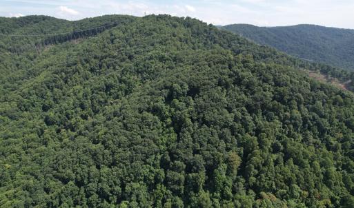 DJI_0204