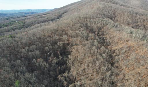 DJI_0009