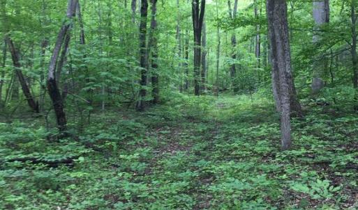 Photo #2 of PADUA LANE, SPERRYVILLE, VA 17.1 acres