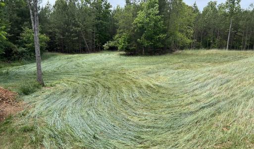 Big Plot AFTER (crimped rye)