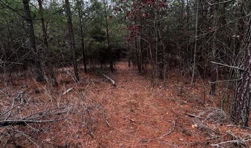 Clover Plot BEFORE