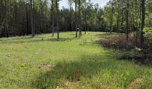 Clover Plot AFTER 2