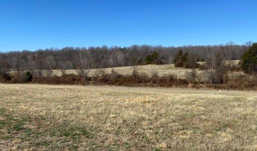 Photo #4 of WHITES FARM LANE RESIDUE, CULPEPER, VA 46.0 acres