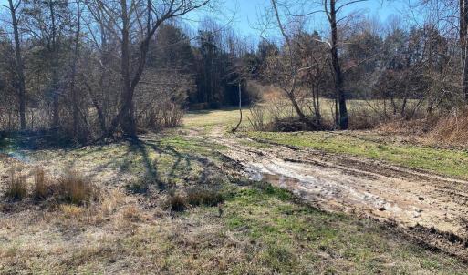 Photo #6 of WHITES FARM LANE RESIDUE, CULPEPER, VA 46.0 acres
