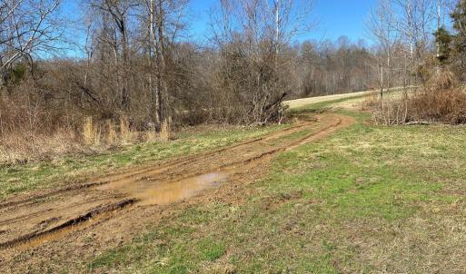 Photo #7 of WHITES FARM LANE RESIDUE, CULPEPER, VA 46.0 acres