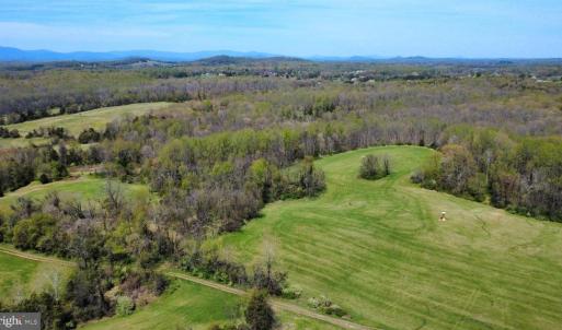 Photo #11 of WHITES FARM LANE RESIDUE, CULPEPER, VA 46.0 acres