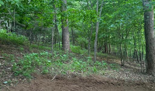 Navigable walking path