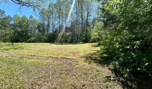 Photo #3 of 23060 LANEWOOD RD, ORANGE, VA 1.5 acres