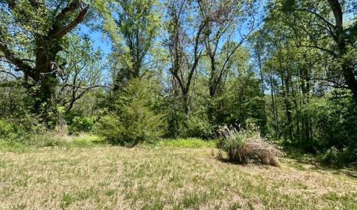 Photo #4 of 23060 LANEWOOD RD, ORANGE, VA 1.5 acres