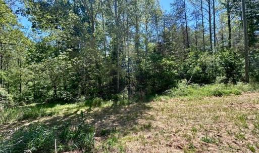 Photo #5 of 23060 LANEWOOD RD, ORANGE, VA 1.5 acres