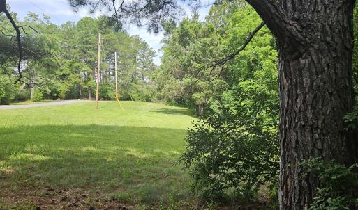 View from lot 35 across lots
