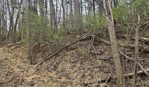 old road bed