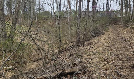 old road bed to walk down