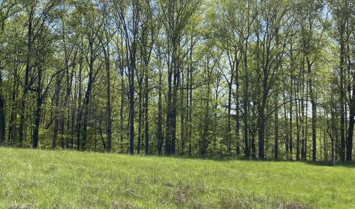 lot 46