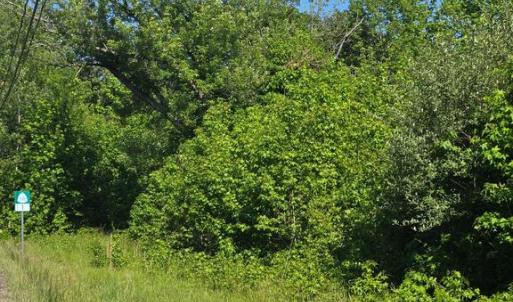 Photo #3 of 4336 MASSAPONAX CHURCH RD, FREDERICKSBURG, VA 3.0 acres