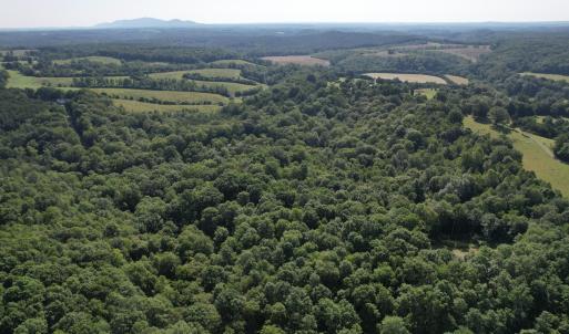 DJI_0008