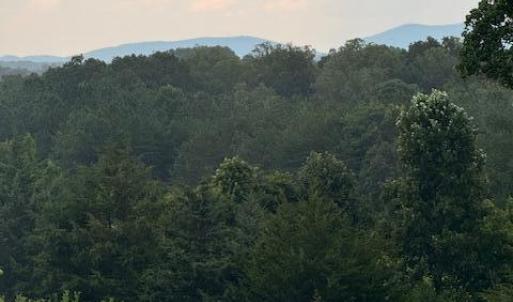 IMG_4319 (1)