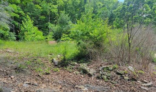 424505-52c1ef08-3cc1-487f-98b2-a38c5a600