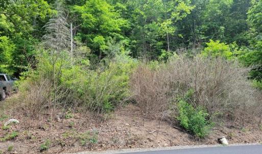 424505-85d60049-c016-45f0-a7bc-7a8337911