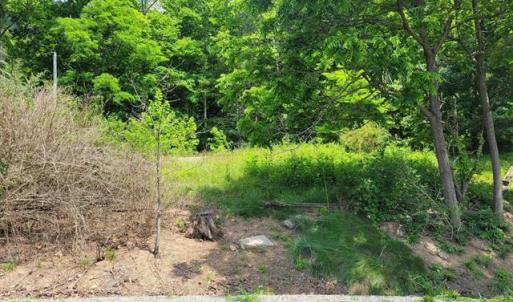 424505-821d8181-b84c-4988-a22b-4a0d27dd6