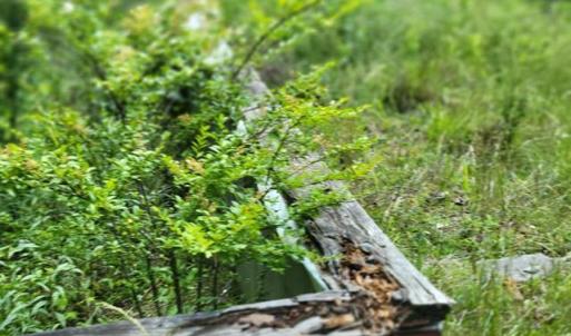 424505-3270d824-16f4-43d9-bcb5-ae6cd8c7b