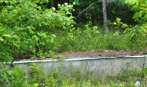 424505-c70581d8-0b71-4c15-aa95-98997d1b1