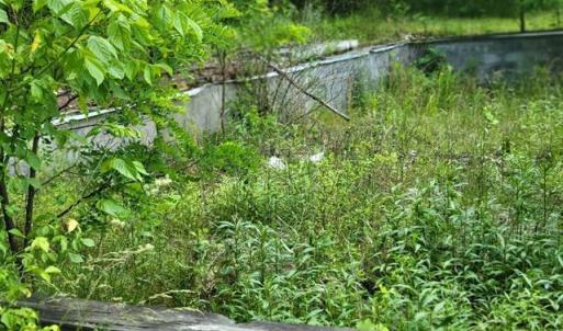 424505-d0c23ca1-ceb6-4db6-b004-45f9693dc