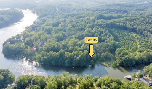 Lot95-1