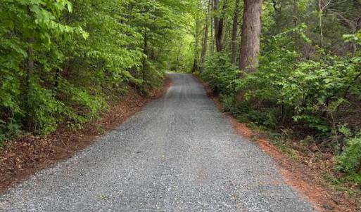 Photo #1 of ORANGE RD., ARODA, VA 23.0 acres