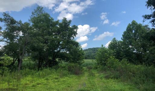 Photo #4 of ORANGE RD., ARODA, VA 23.0 acres