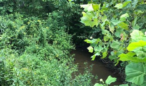 Photo #6 of ORANGE RD., ARODA, VA 23.0 acres
