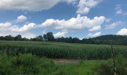 Photo #7 of ORANGE RD., ARODA, VA 23.0 acres