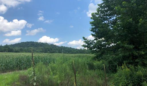 Photo #2 of ORANGE RD., ARODA, VA 23.0 acres