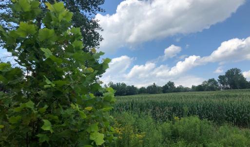 Photo #9 of ORANGE RD., ARODA, VA 23.0 acres