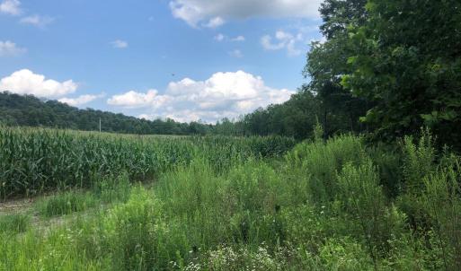Photo #11 of ORANGE RD., ARODA, VA 23.0 acres