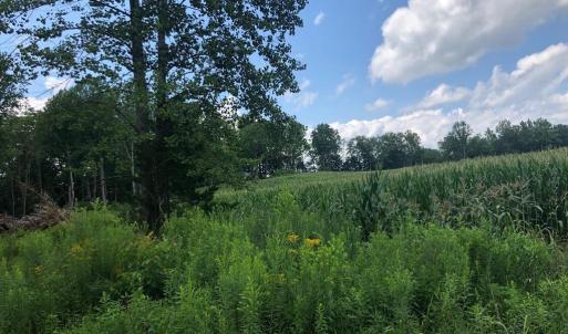 Photo #13 of ORANGE RD., ARODA, VA 23.0 acres