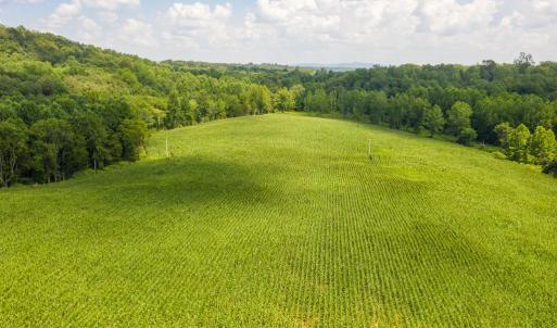 Photo #14 of ORANGE RD., ARODA, VA 23.0 acres