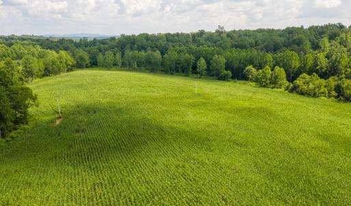 Photo #18 of ORANGE RD., ARODA, VA 23.0 acres