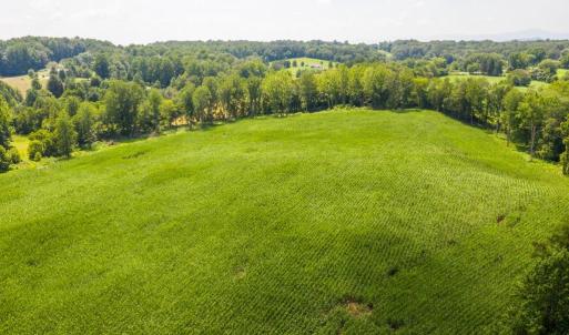 Photo #29 of ORANGE RD., ARODA, VA 23.0 acres