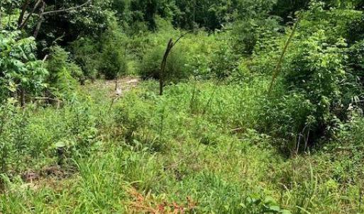 Great Flat lot with well and septic!