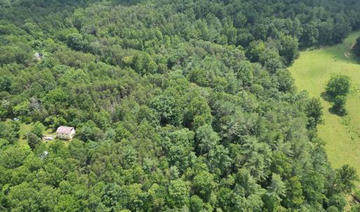 Wooded 0.7AC