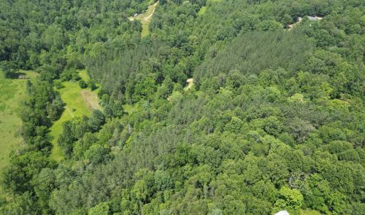 Wooded 0.7AC