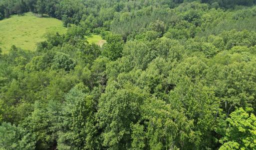 Wooded 0.7AC