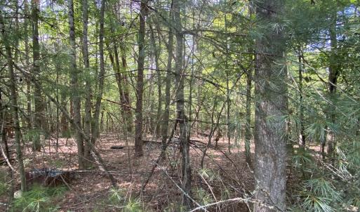 Wooded 0.7AC