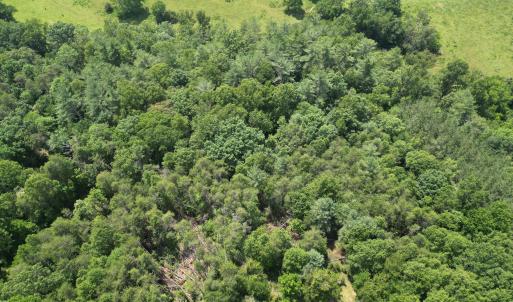 Wooded 0.7AC