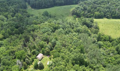 Wooded 0.7AC