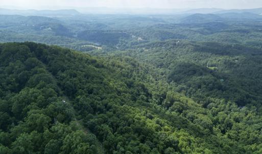 Wooded 10.3 Acres