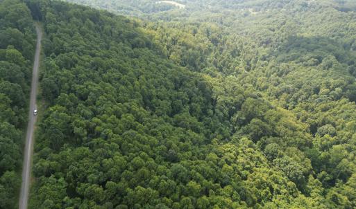Wooded Acreage