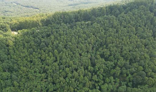 Wooded Tracts