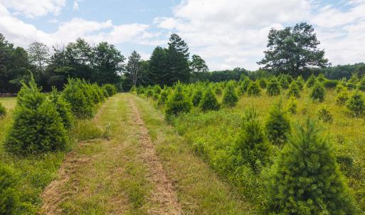 DJI_20250618142059_0439_D